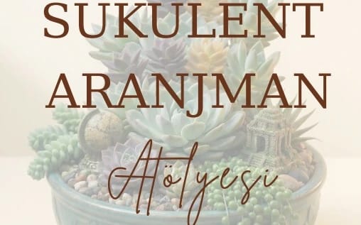 Auroray Art İle Sukulent Aranjman Atölyesi