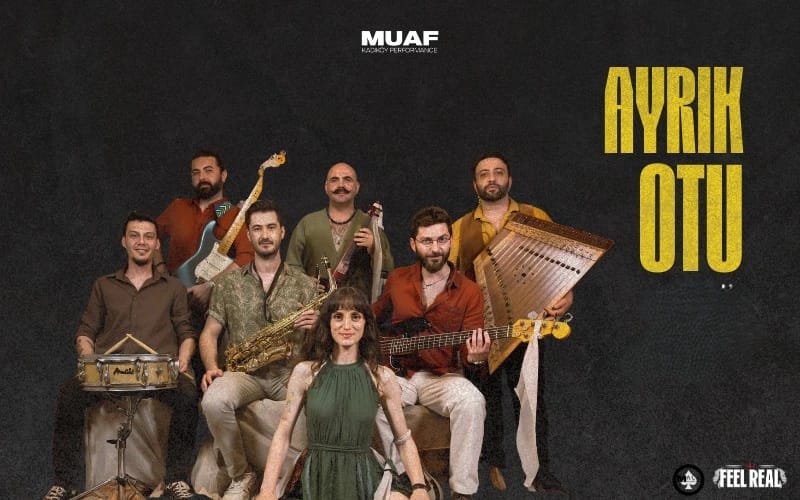 Ayrıkotu