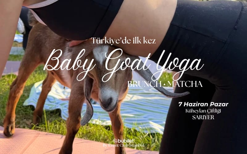 Baby Goat Yoga