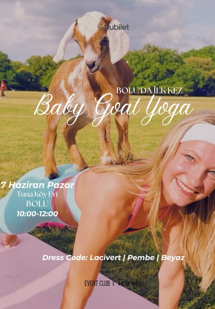 Baby Goat Yoga | Bolu