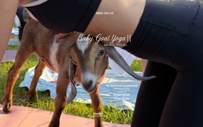 Baby Goat Yoga II