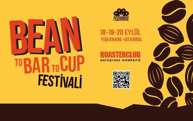 Bean To Bar × Bean To Cup