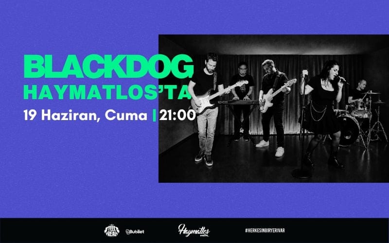 Black Dog