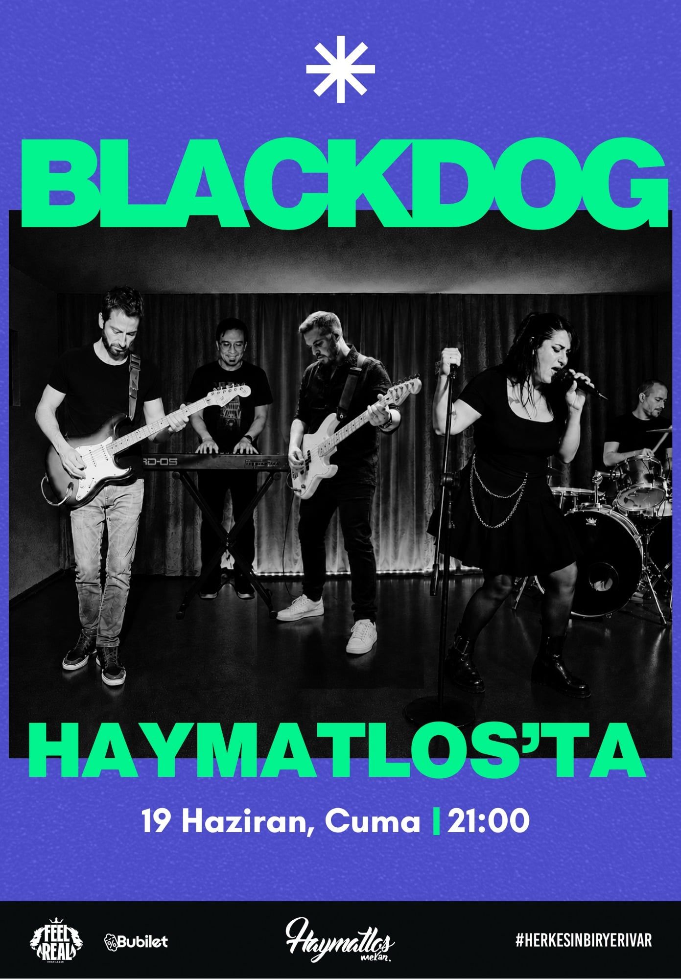 Black Dog