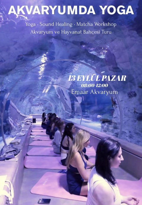 Blue Mind Yoga
