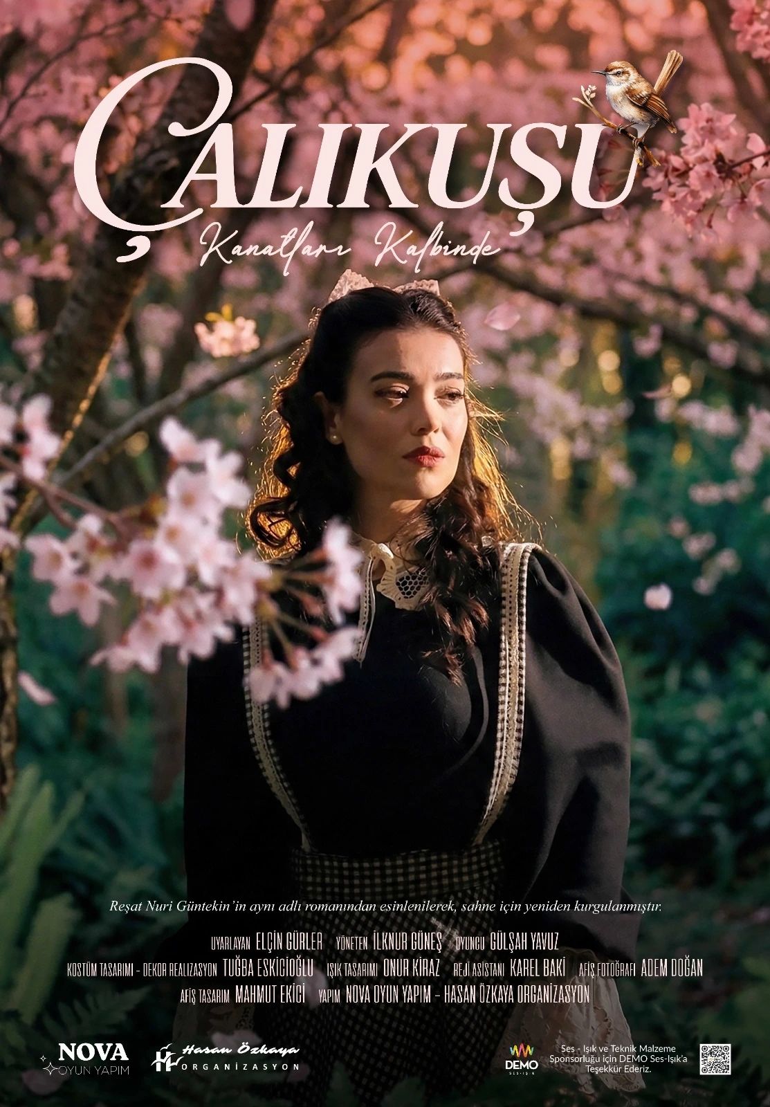 Çalıkuşu - Kanatların Kalbinde