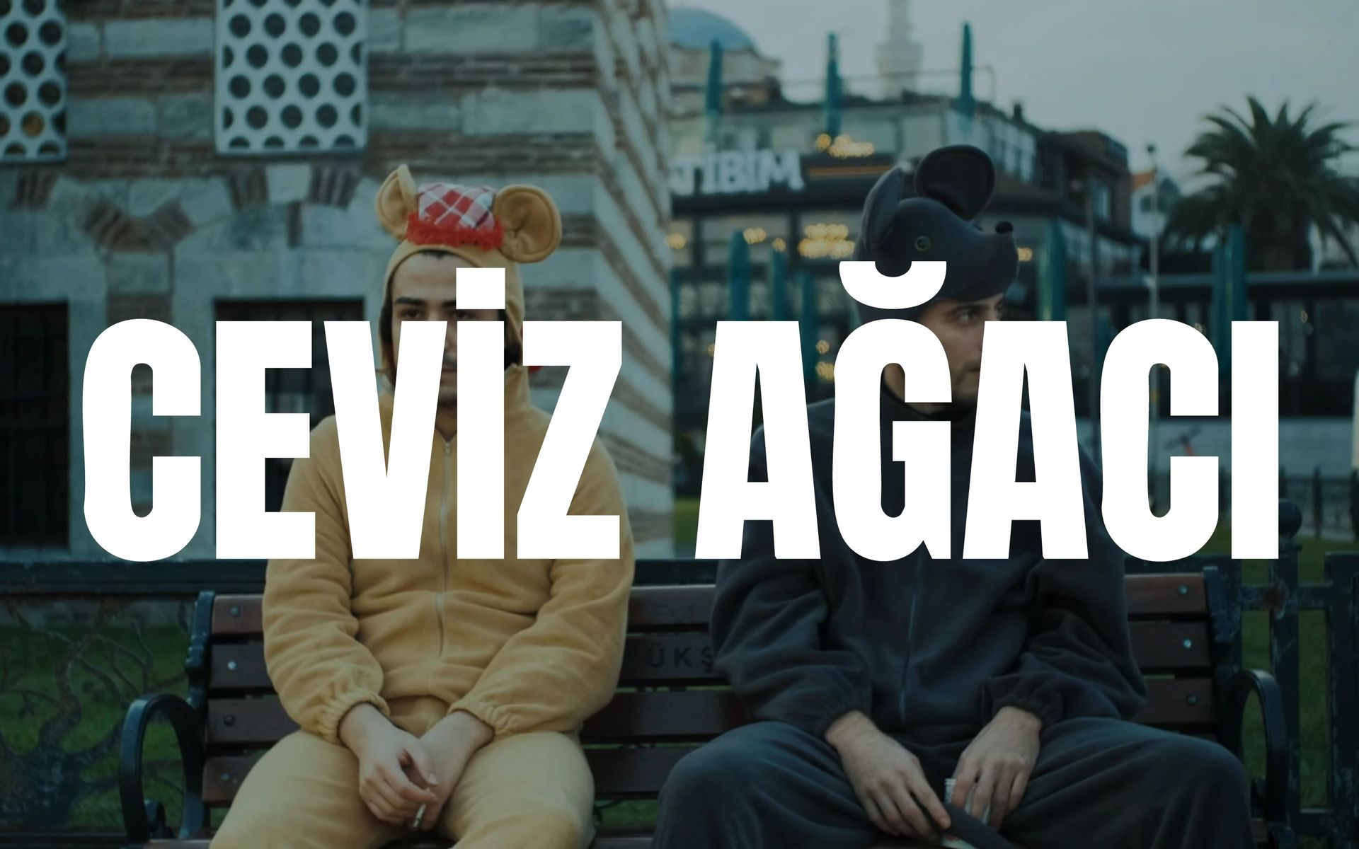 Ceviz Ağacı
