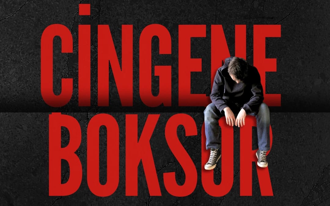 Çingene Boksör