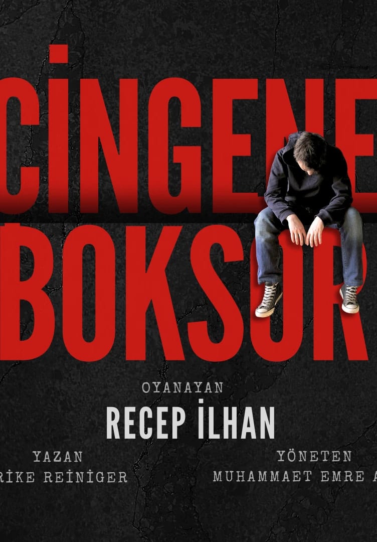 Çingene Boksör