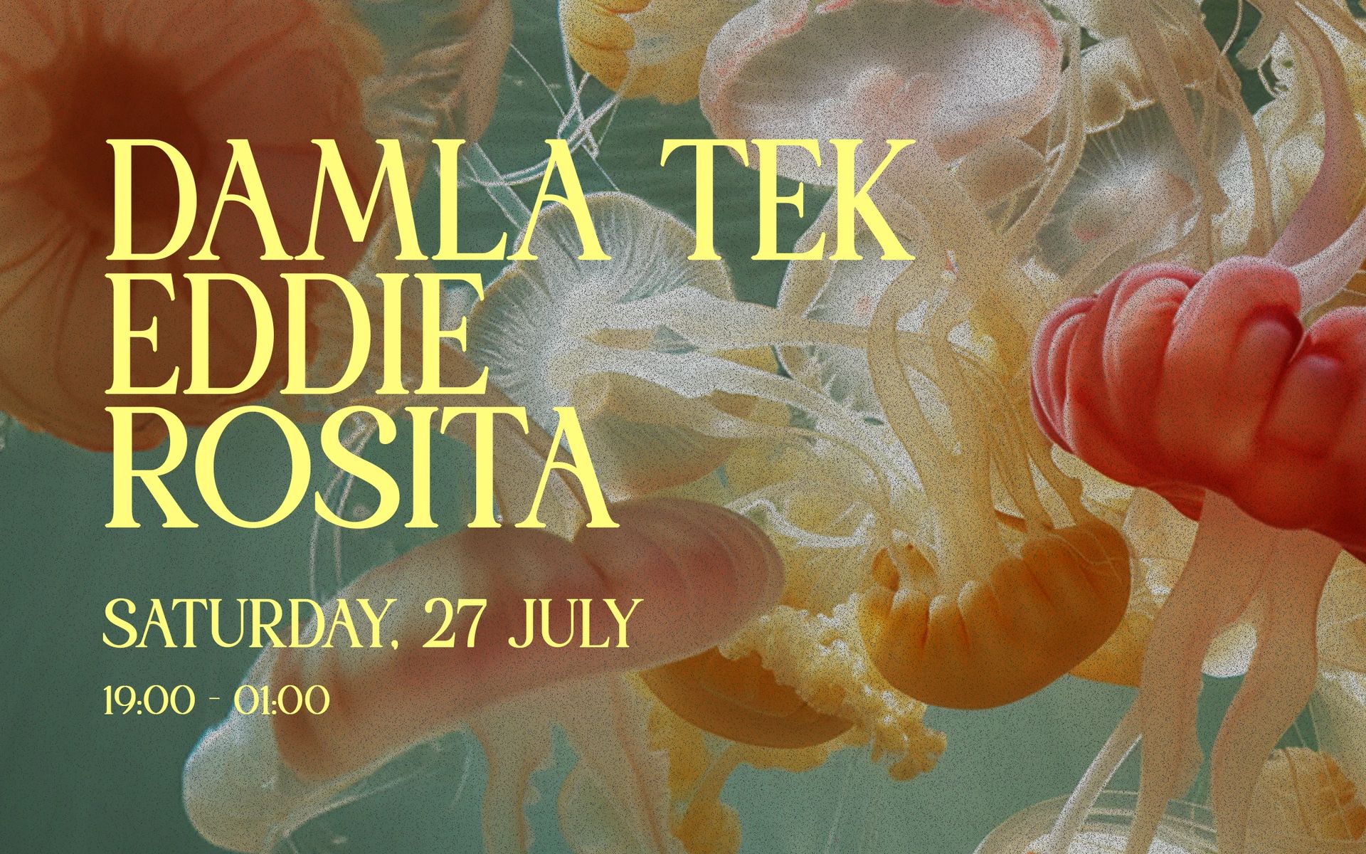 Damla Tek + Eddie + Rosita | Sommer Klein