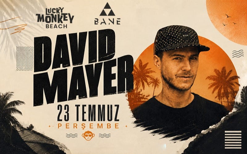 DAVID MAYER