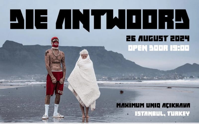 Die Antwoord