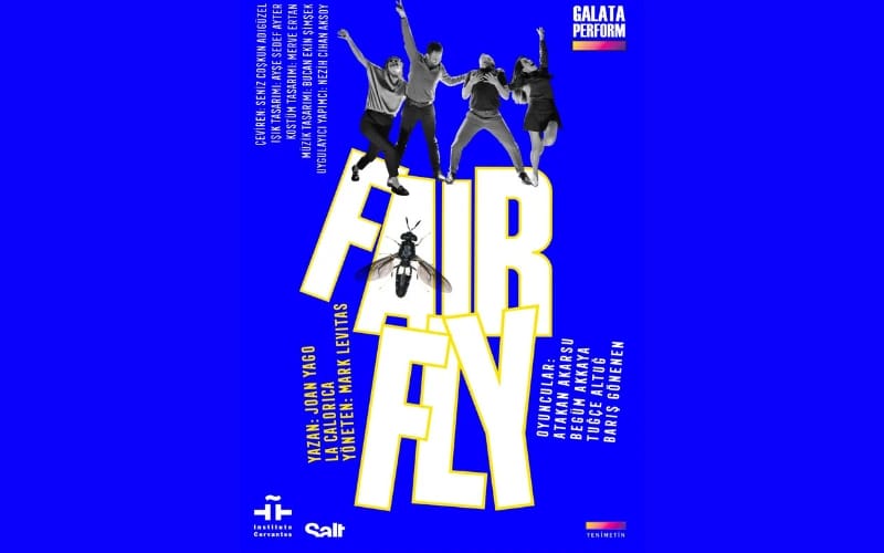 Fairfly Oyunu