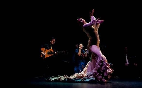 FlamencoBien