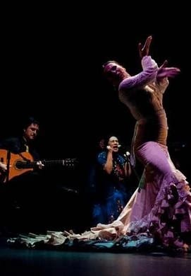 FlamencoBien