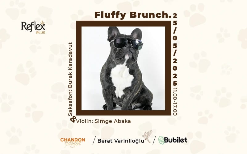 Fluffy Brunch