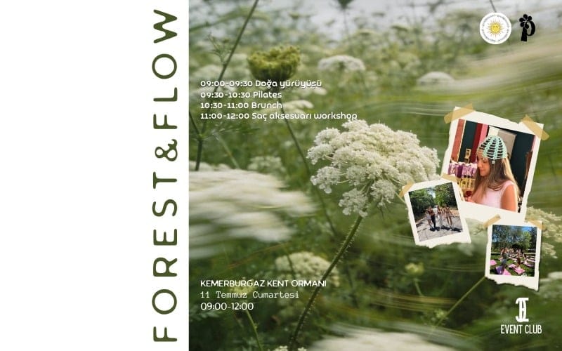 Forest&Flow