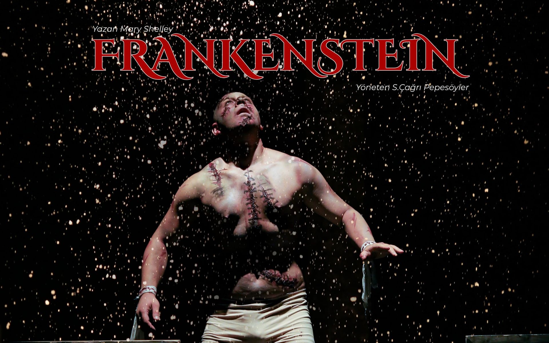 Frankestain