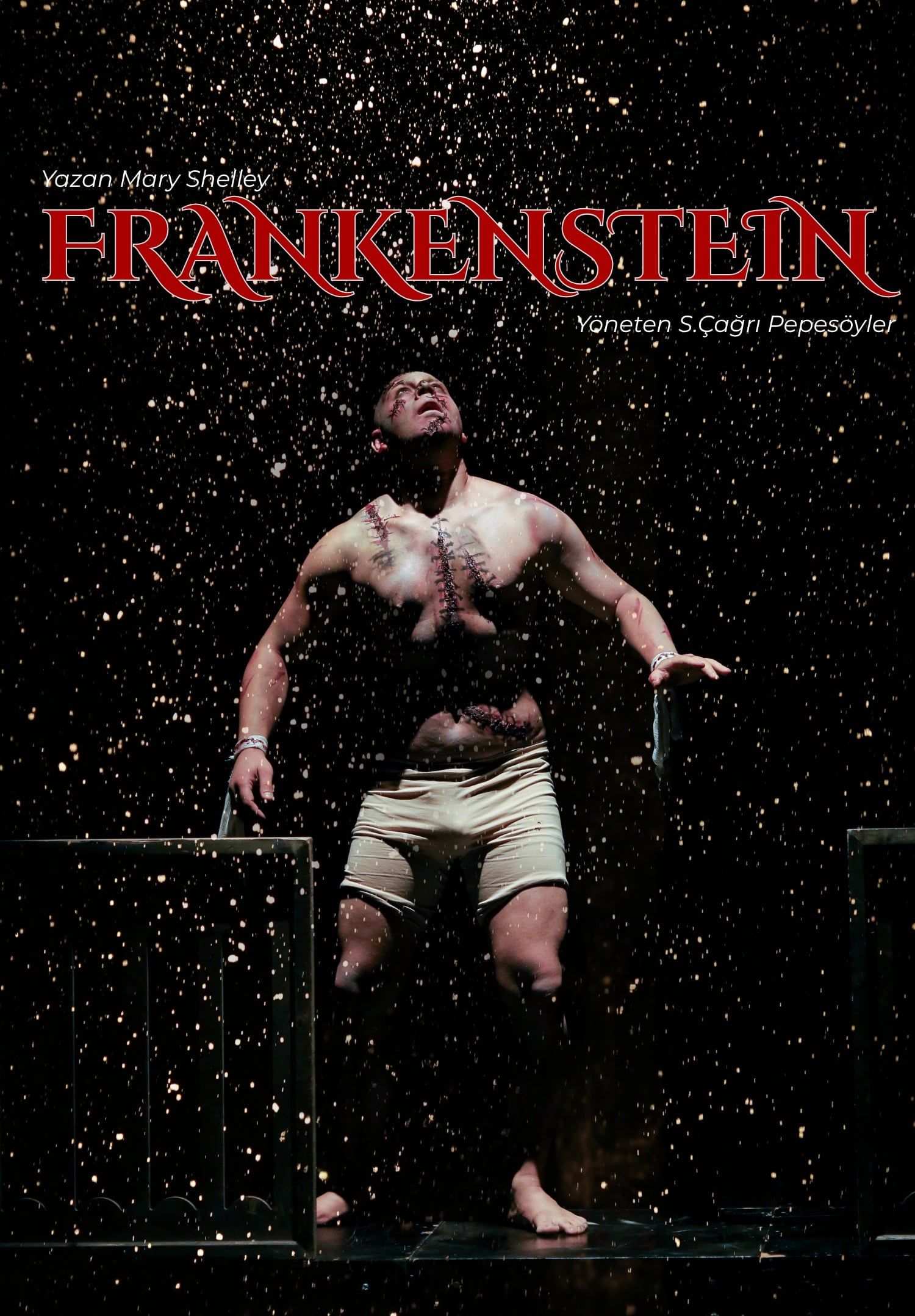 Frankestain