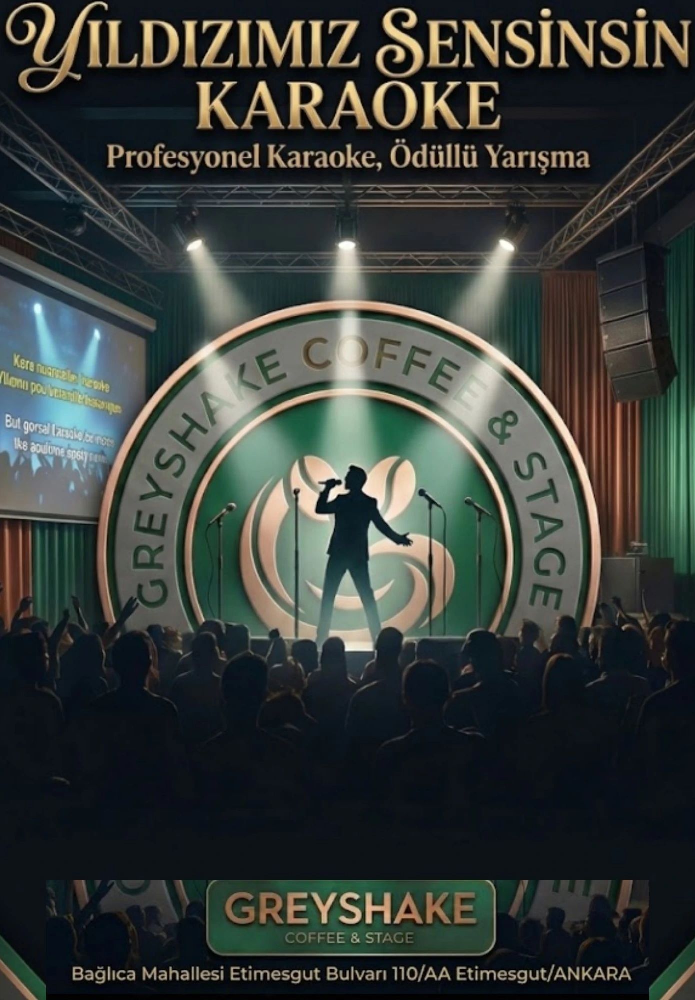 Karaoke Gecesi