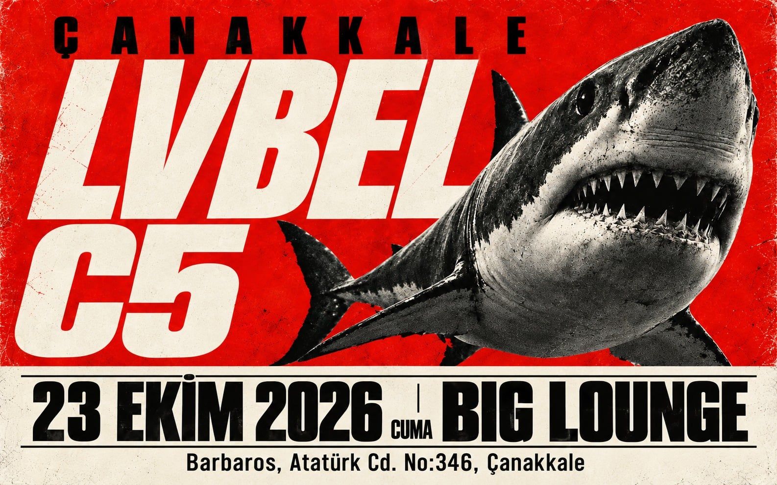 Lvbel C5 Konseri 