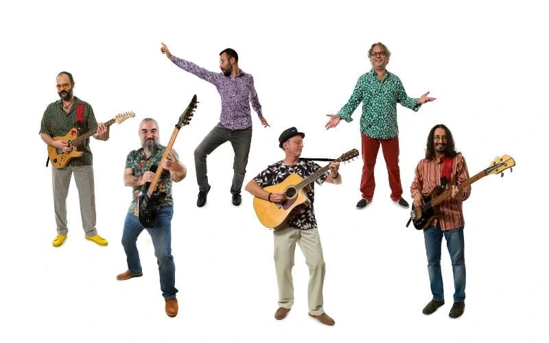 Meat the Beetles