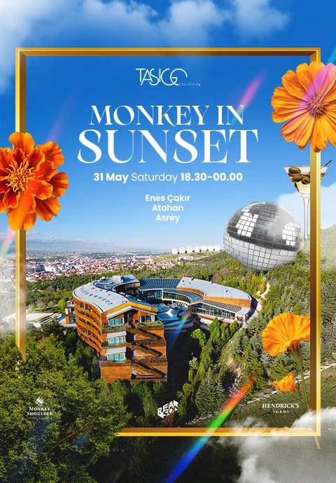 Monkey in Sunset