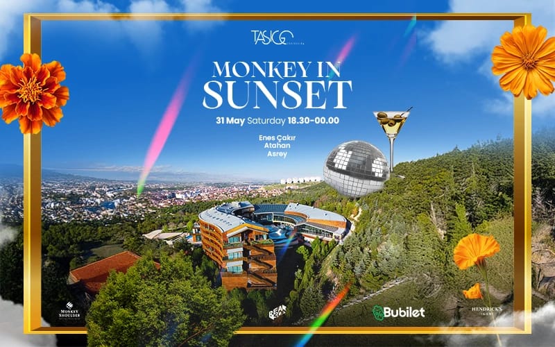 Monkey in Sunset