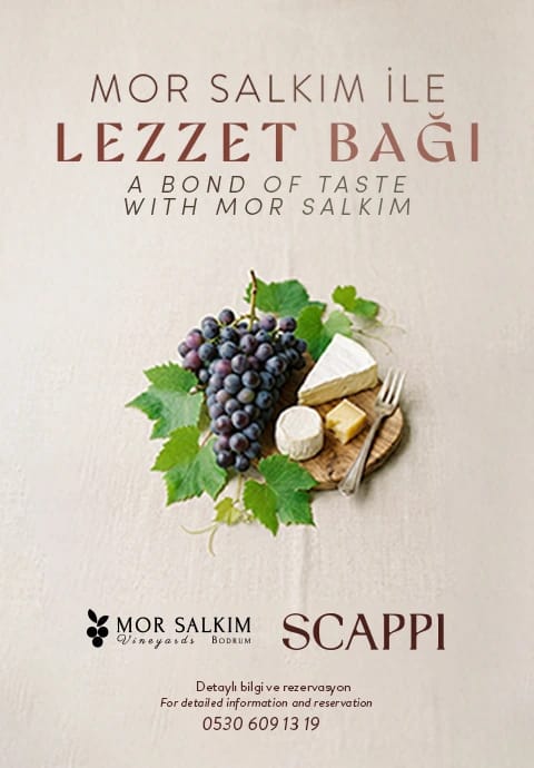 Mor Salkım ile Lezzet Bağı