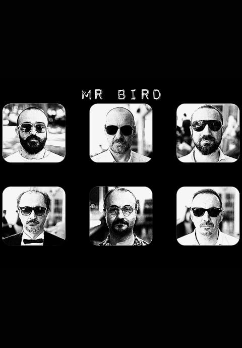 Mr. Bird