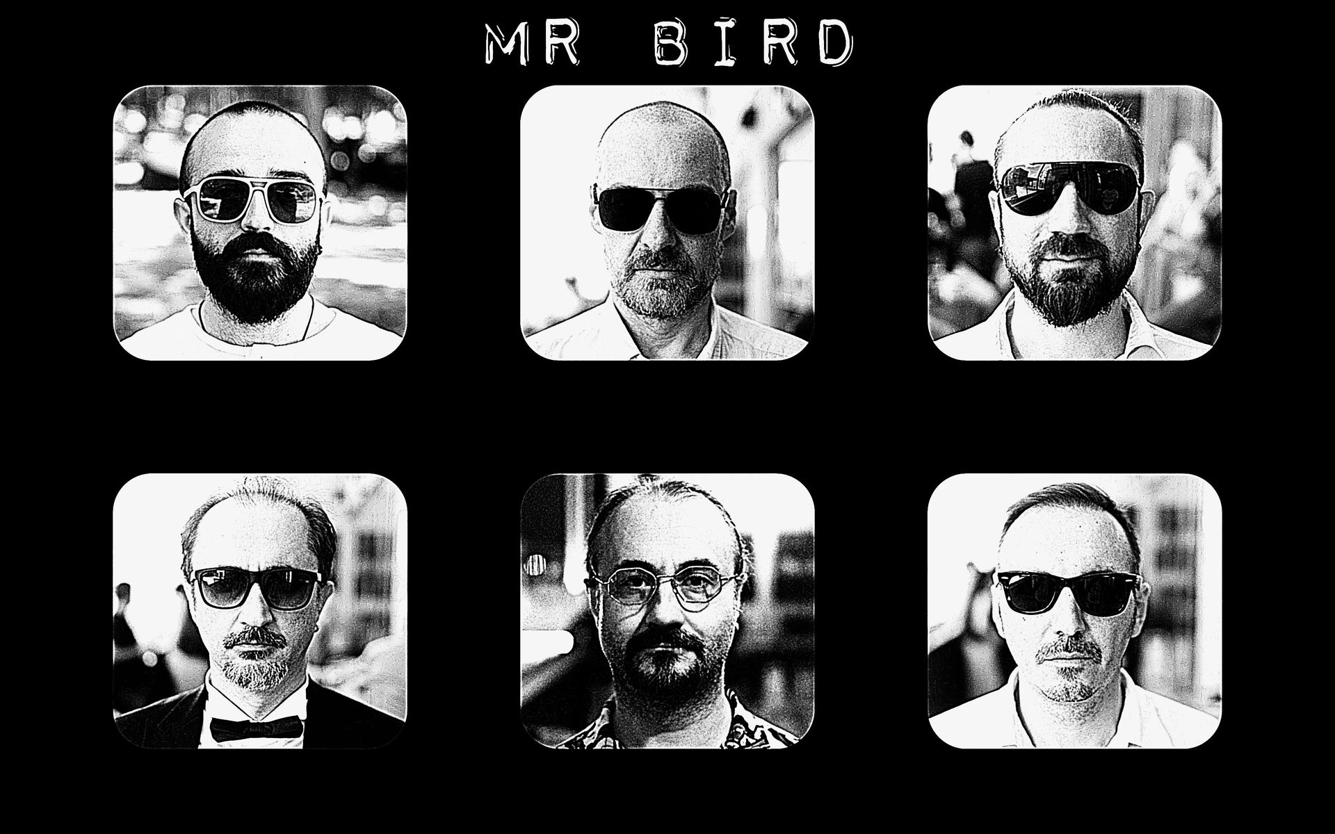 Mr. Bird
