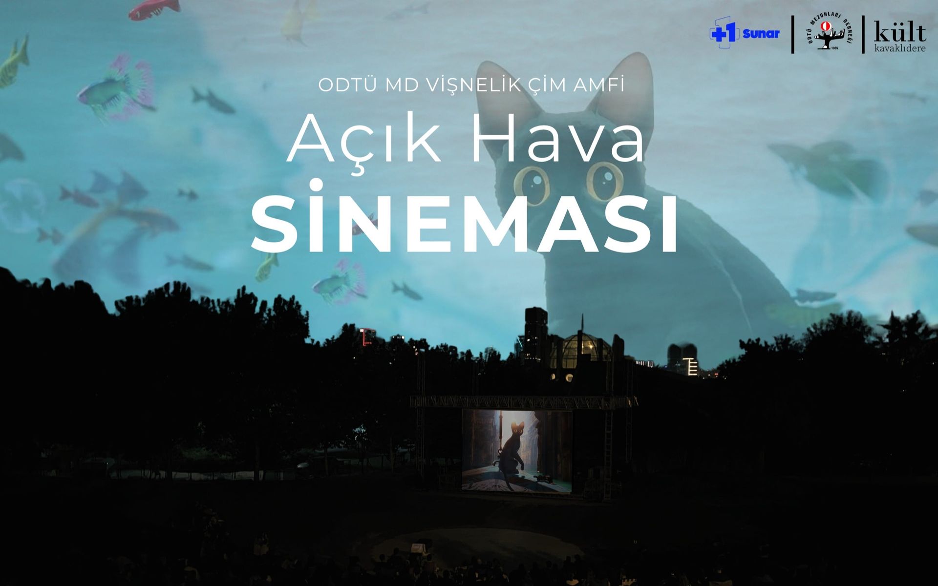 ODTÜ MD Vişnelik Çim Amfi Açık Hava Sineması - Flow: Bir Kedinin Yolcuğu