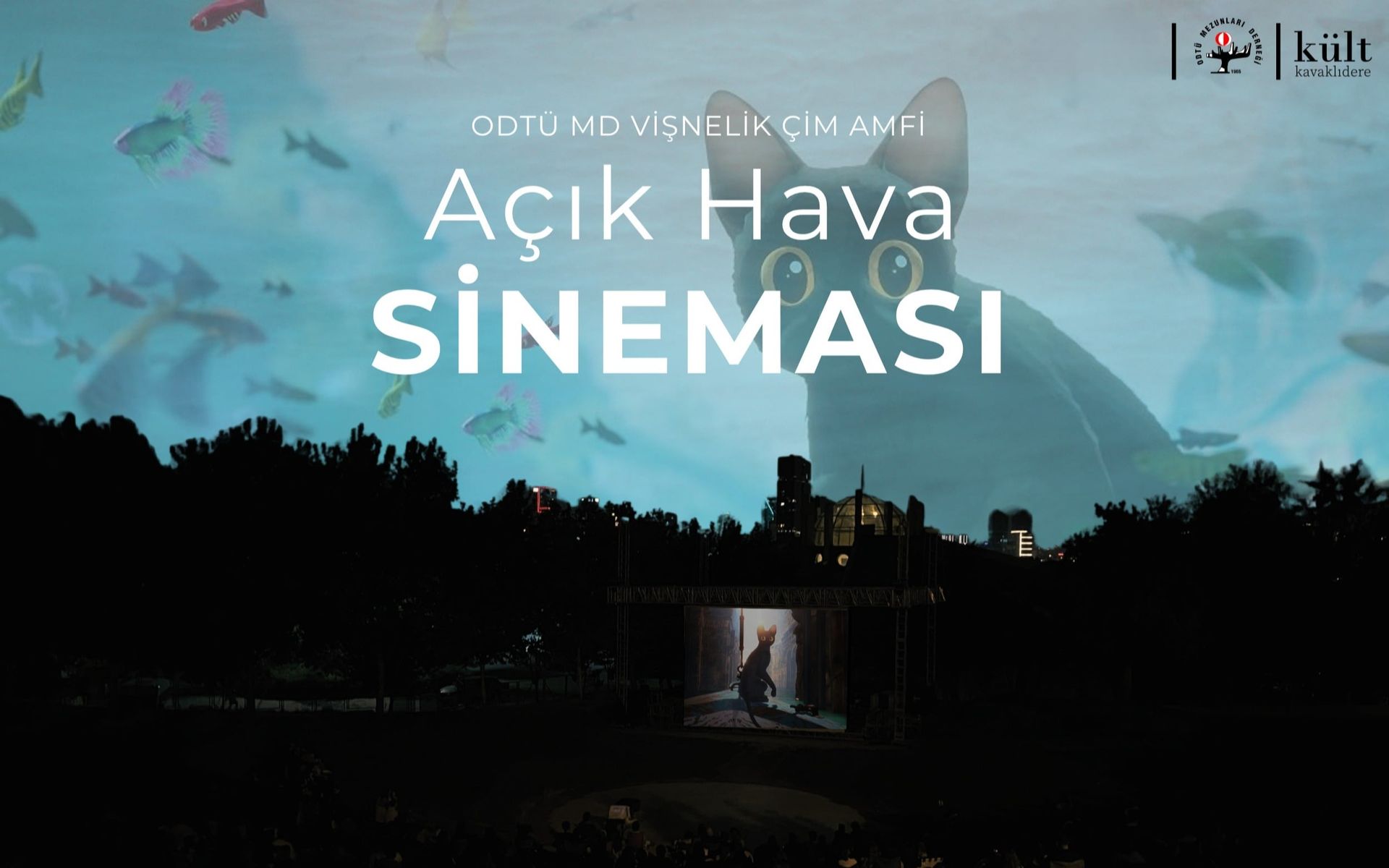 ODTÜ MD Vişnelik Çim Amfi Açık Hava Sineması - Flow: Bir Kedinin Yolcuğu