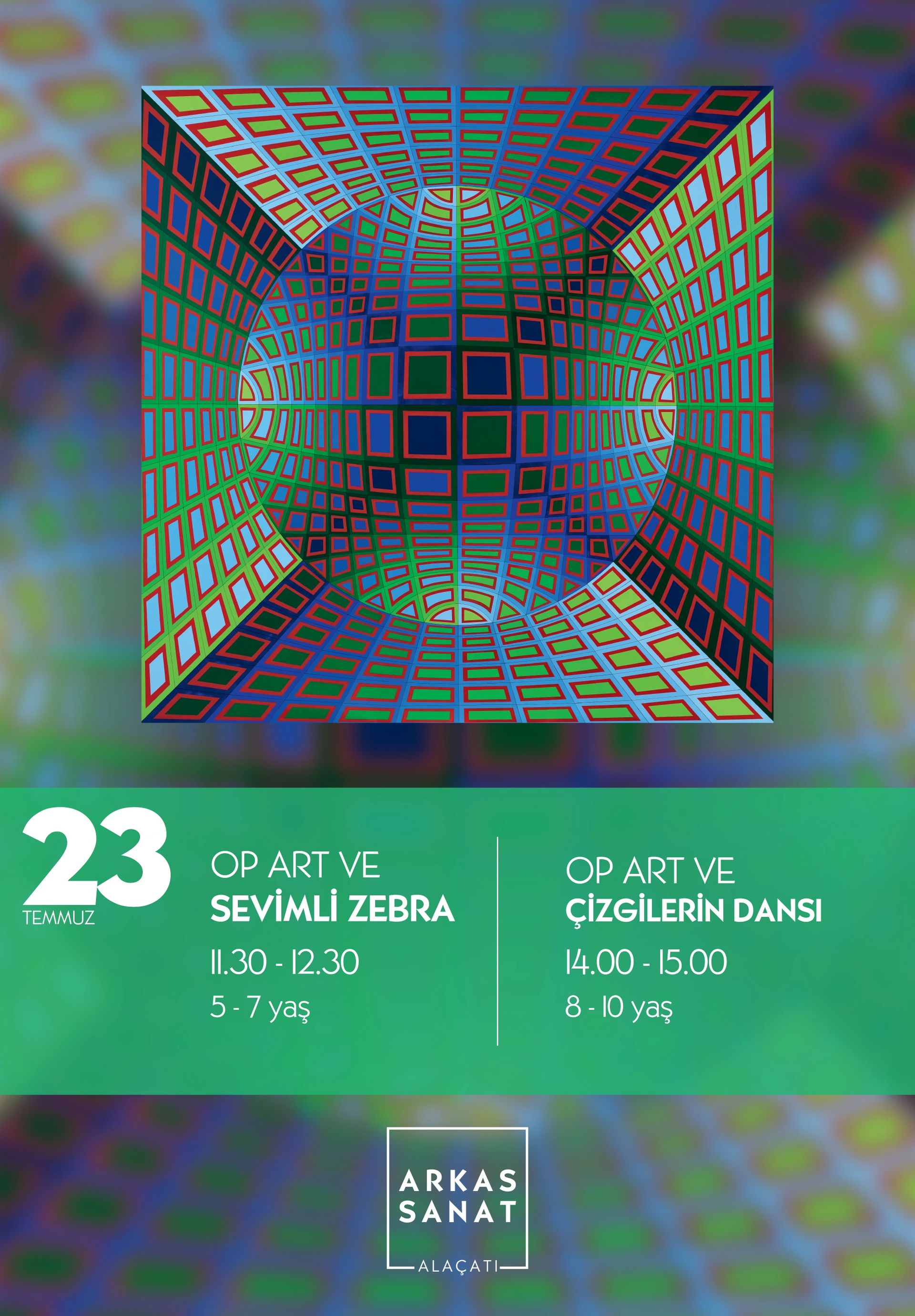 Op Art ve Sevimli Zebra