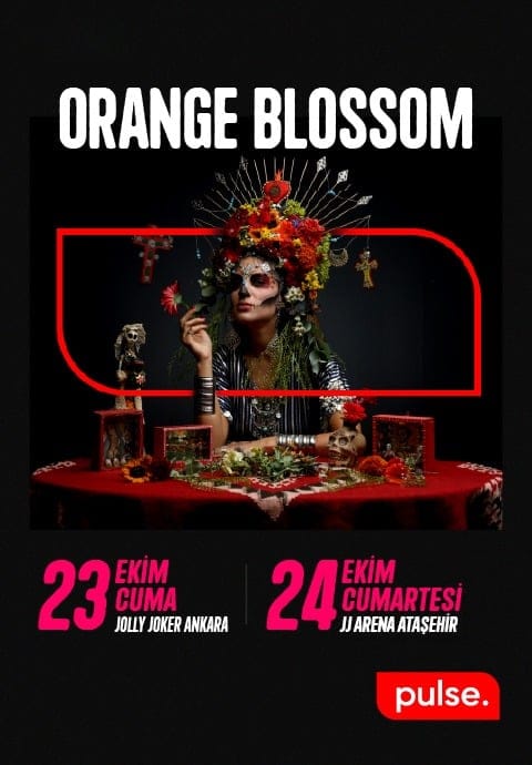 Orange Blossom