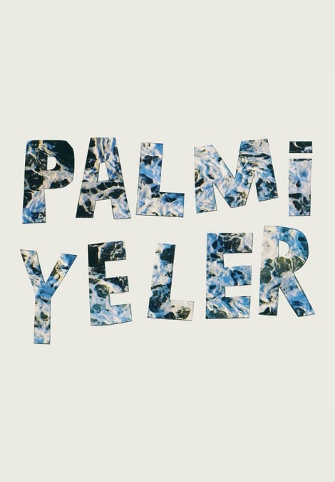 Palmiyeler