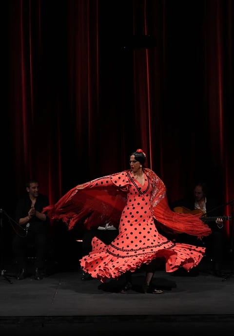 Naturalmente Flamenco – Patricia Ibáñez Romero