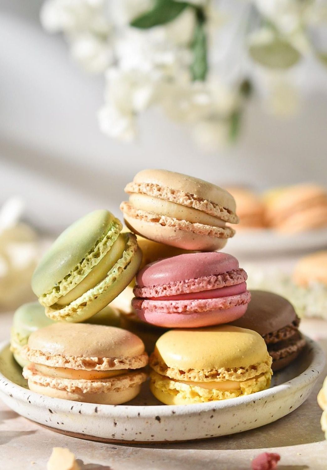 Renkli Macaronlar | Atölye: EKS Mutfak