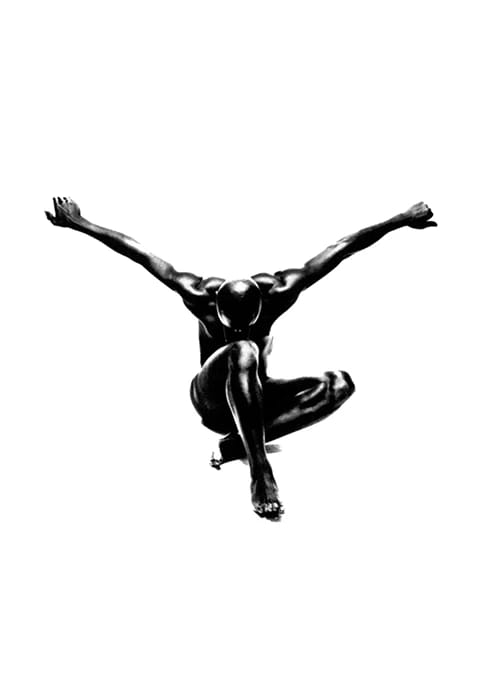 Seal