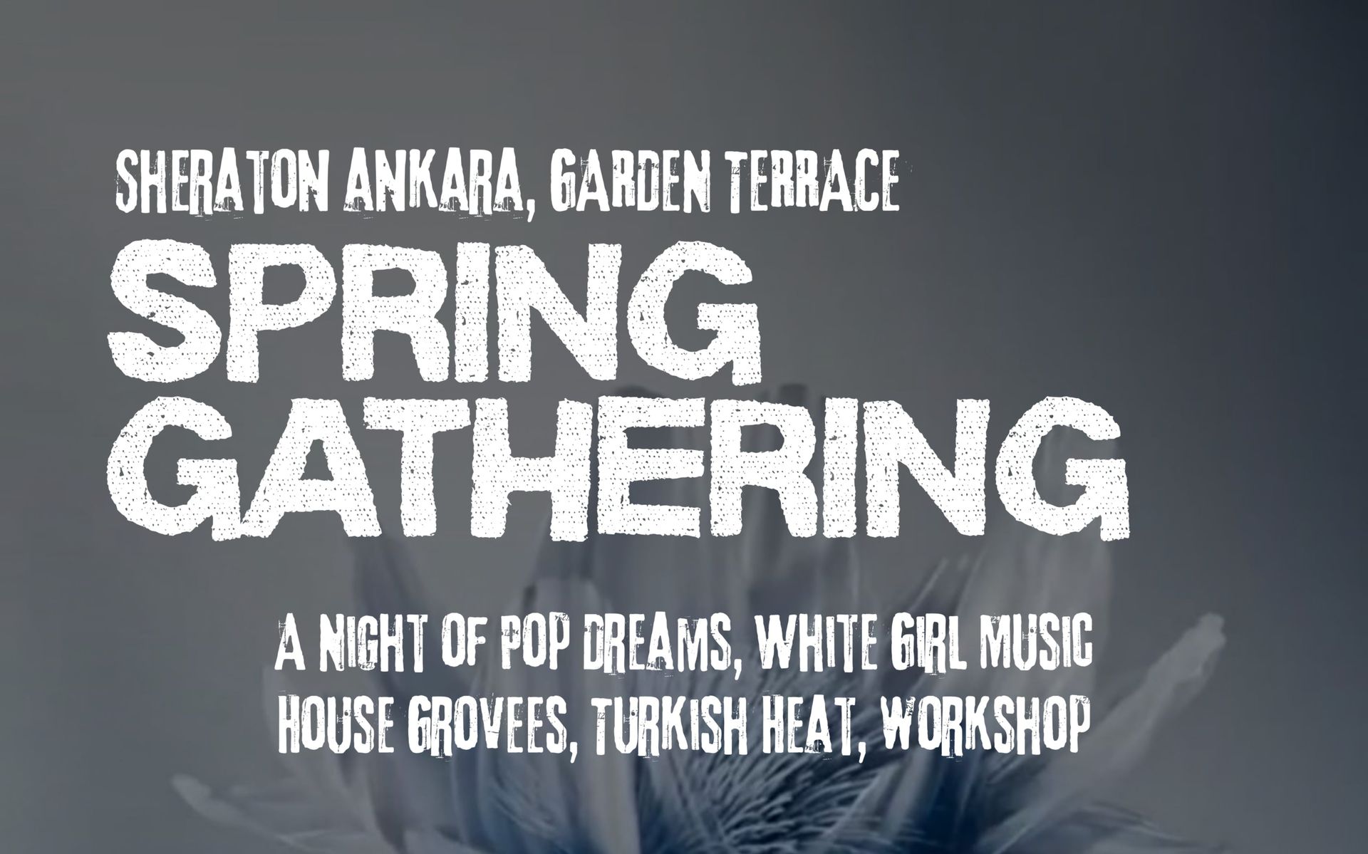 Spring Gathering