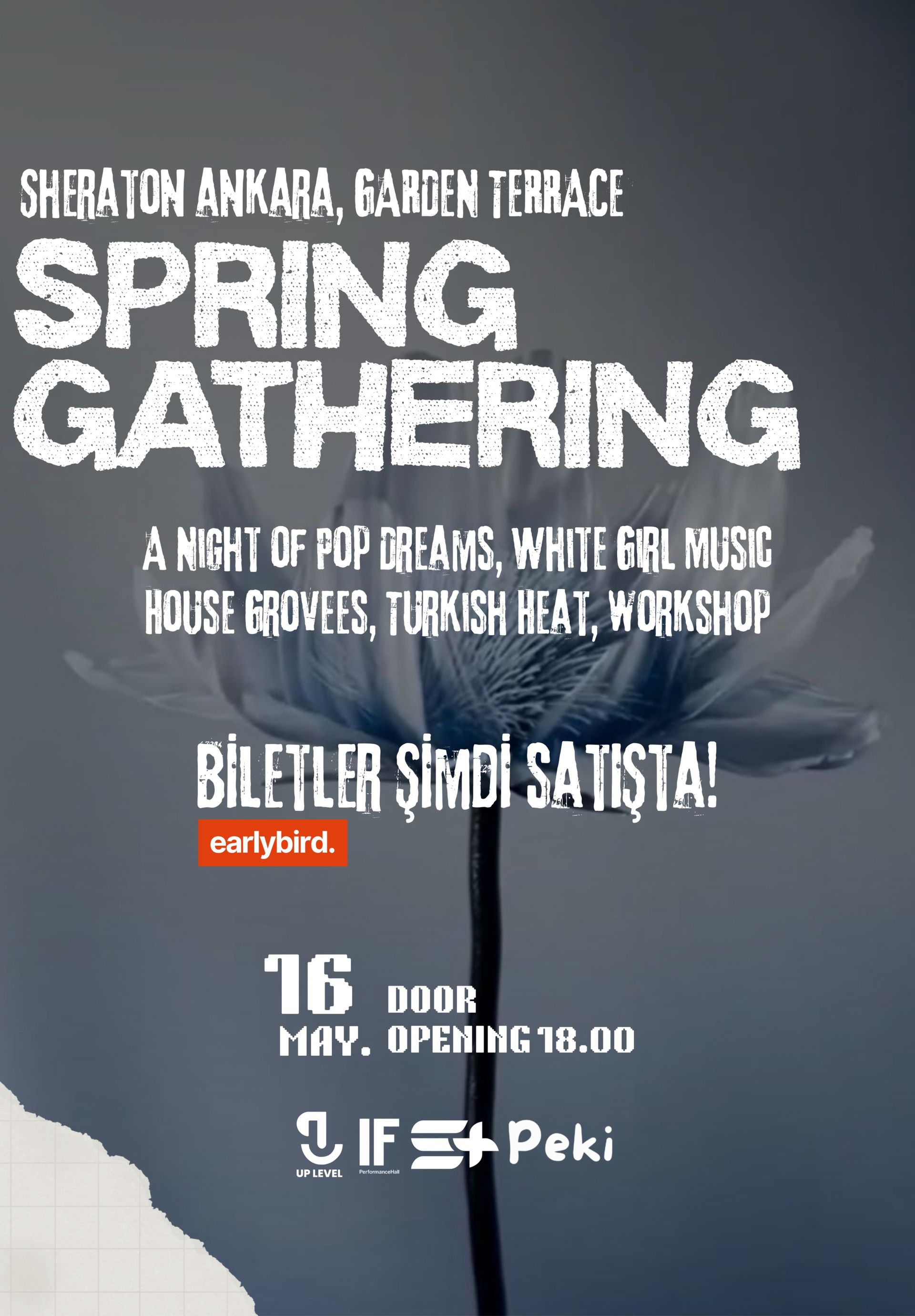 Spring Gathering