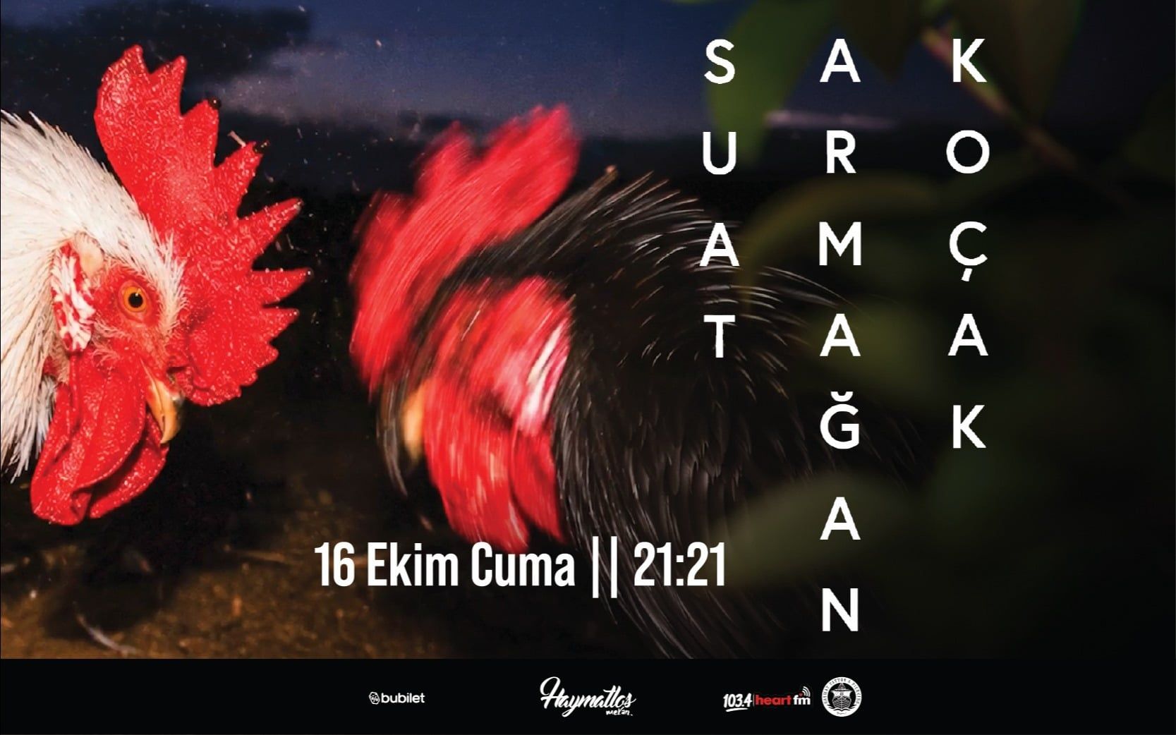 Suat Armağan Koçak