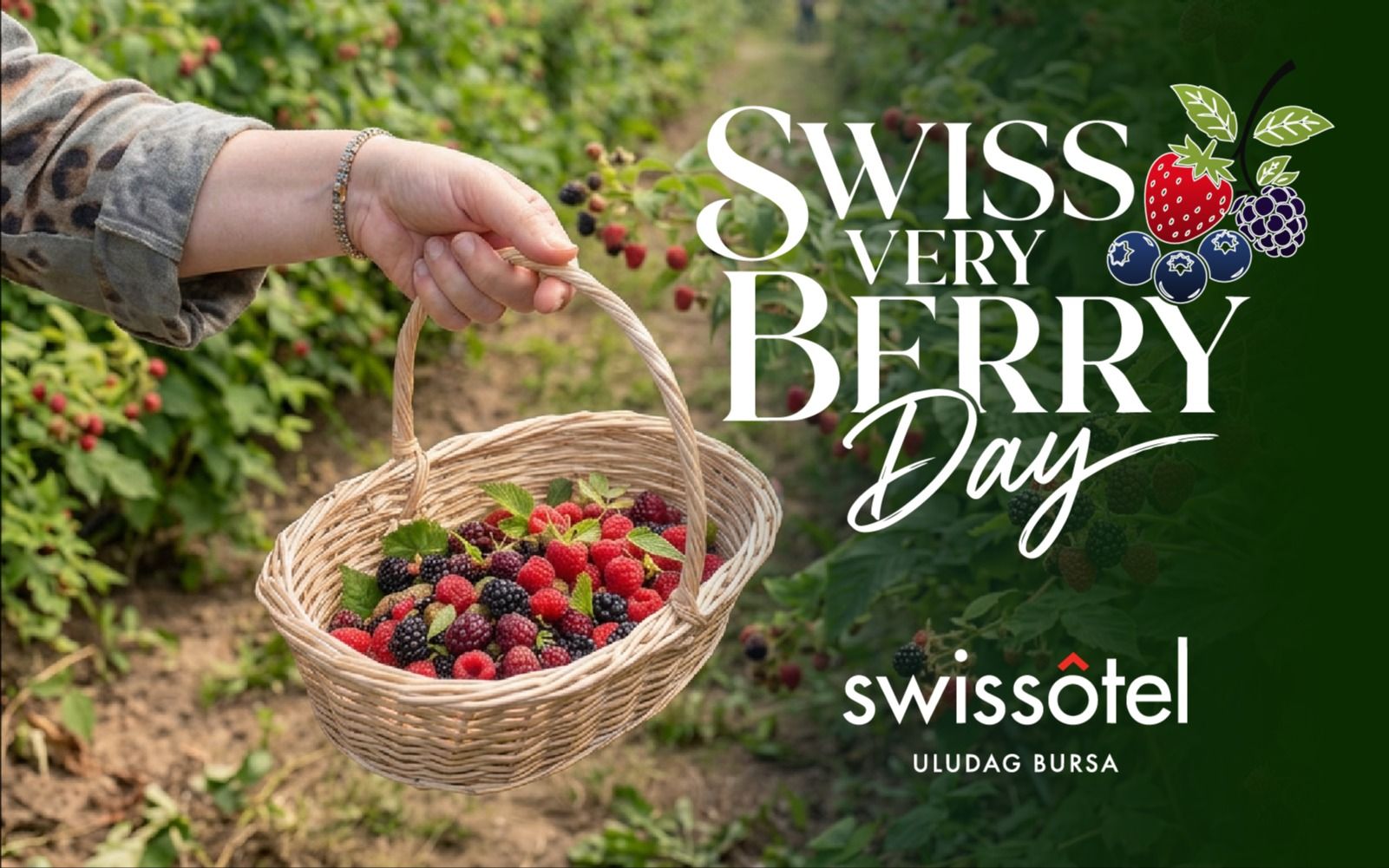  Swiss Very Berry Day