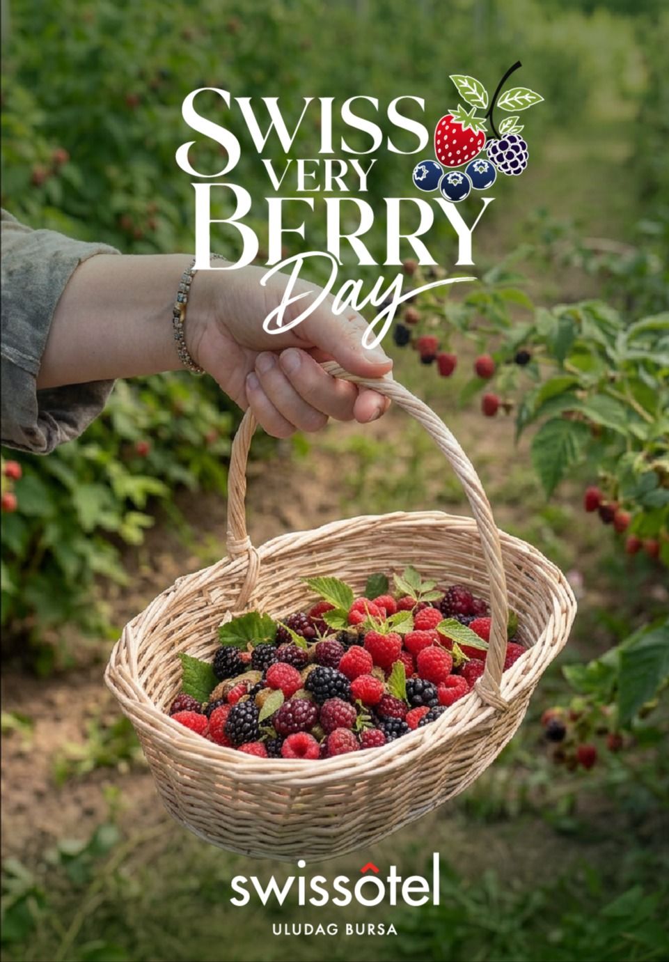  Swiss Very Berry Day