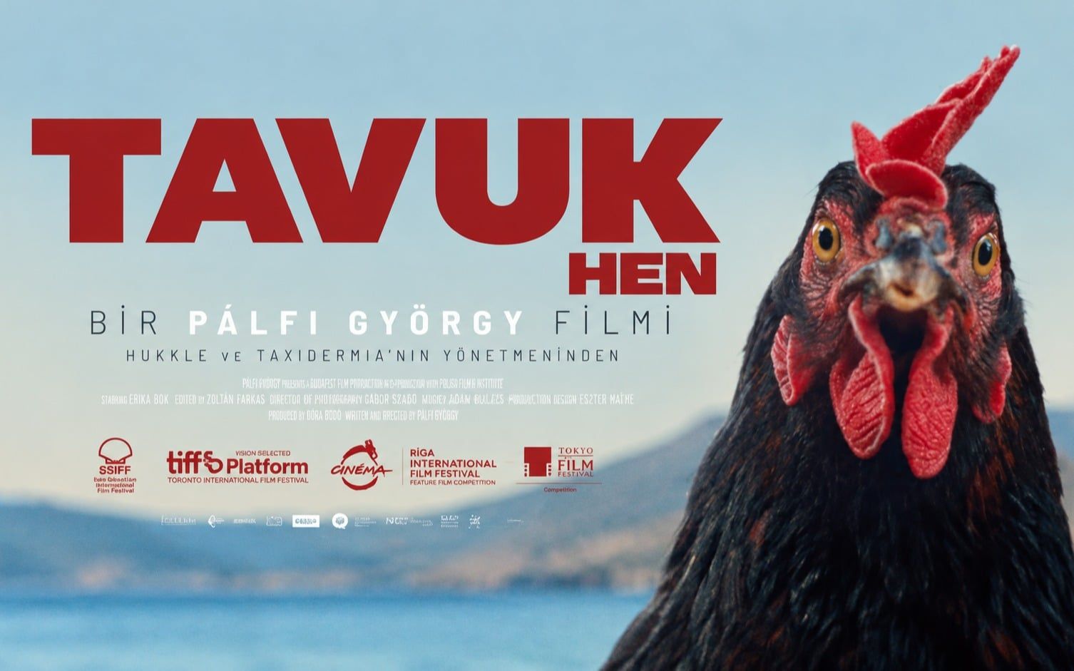 Tavuk Hen
