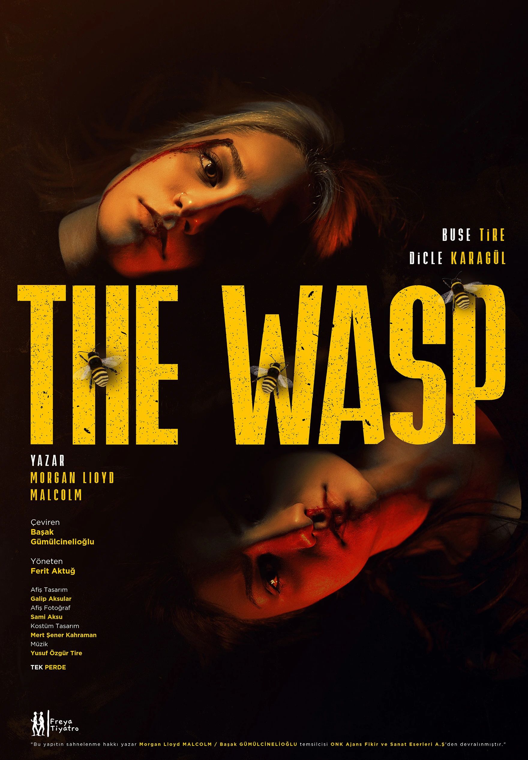 The Wasp (Yaban Arısı)