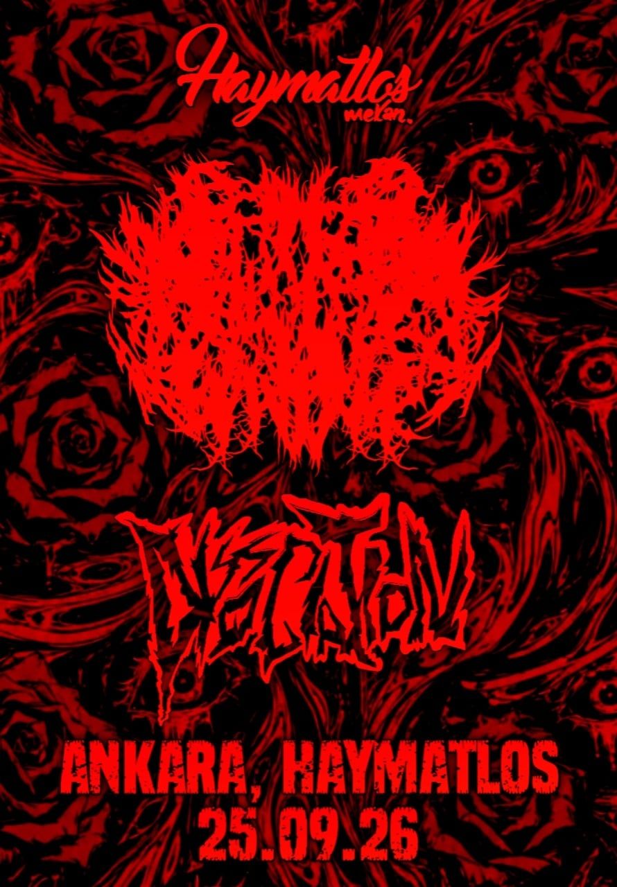 Vaginal Rupture DISSOCATION