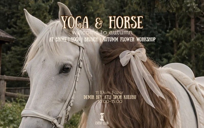 Yoga & Horse