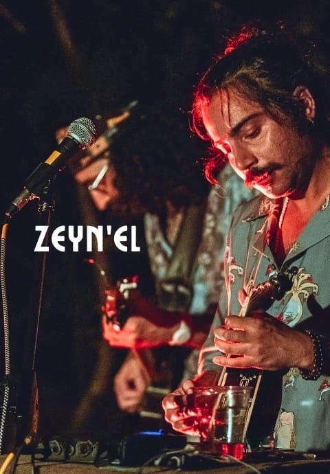 Zeyn'el Konseri