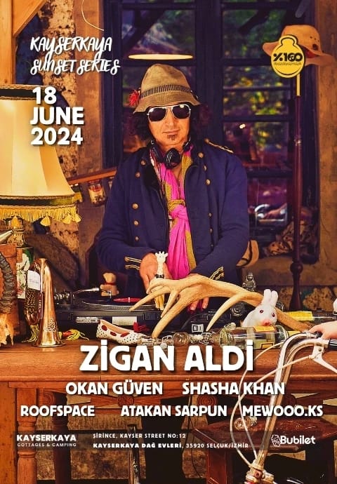 Zigan Aldi